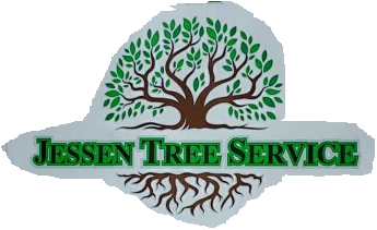A tree removal service in Butler, pa
